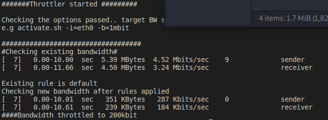 BW Throttle with bwtest